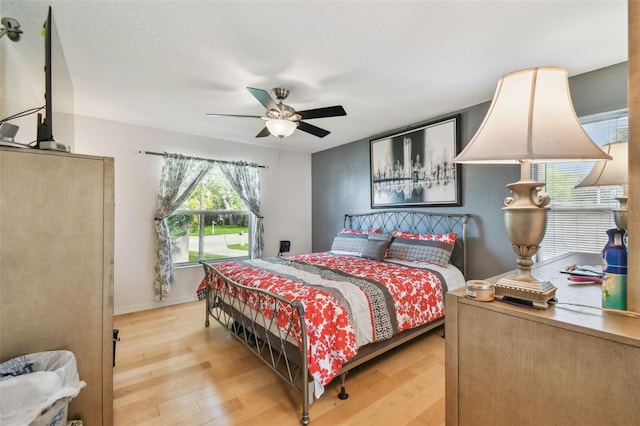 317 Shore Dr E, Oldsmar, FL 34677 - photo 12