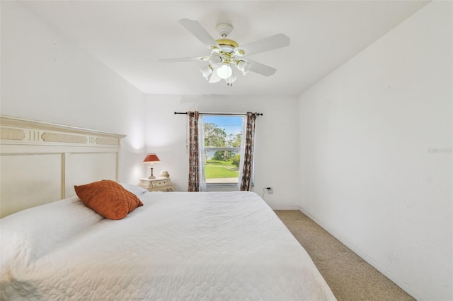 317 Shore Dr E, Oldsmar, FL 34677 - photo 19