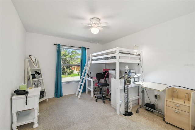 317 Shore Dr E, Oldsmar, FL 34677 - photo 20