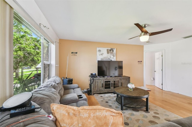 317 Shore Dr E, Oldsmar, FL 34677 - photo 34