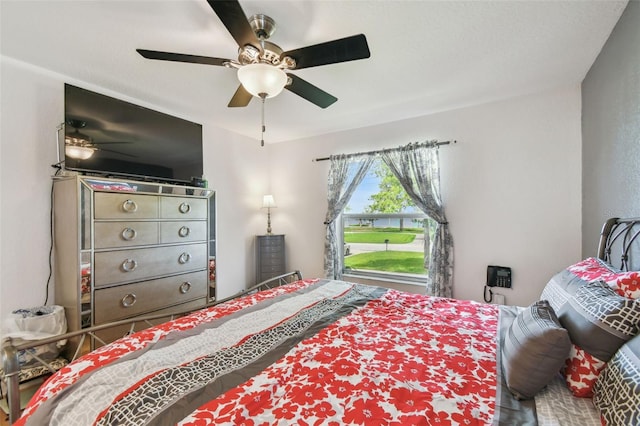 317 Shore Dr E, Oldsmar, FL 34677 - photo 35