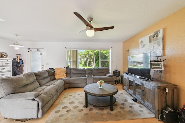 317 Shore Dr E, Oldsmar, FL 34677 - photo 39