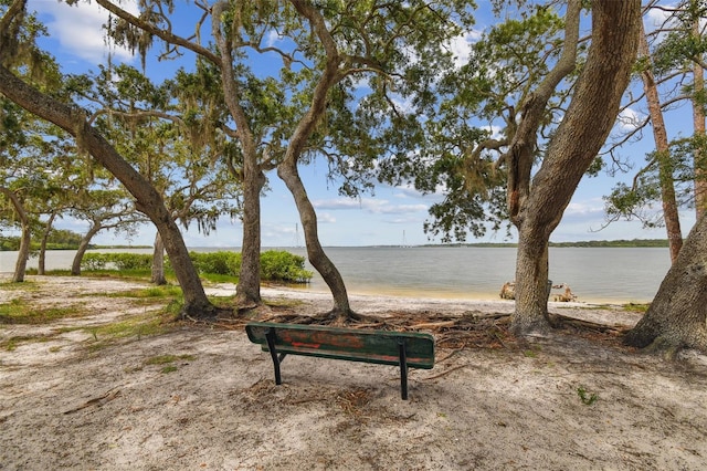 317 Shore Dr E, Oldsmar, FL 34677 - photo 46