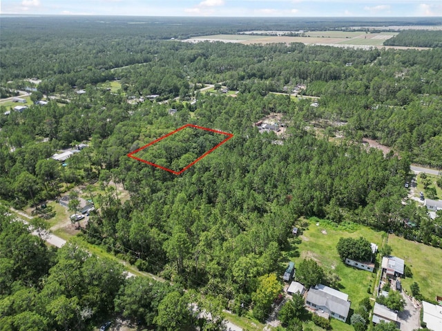 5875 Mahogany Blvd, Bunnell, FL 32110