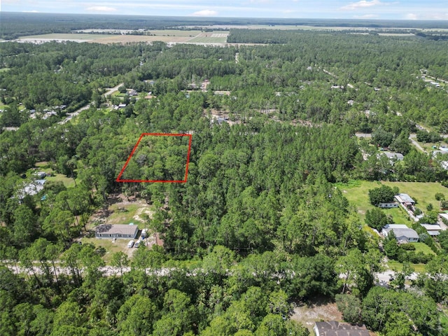 5875 Mahogany Blvd, Bunnell, FL 32110