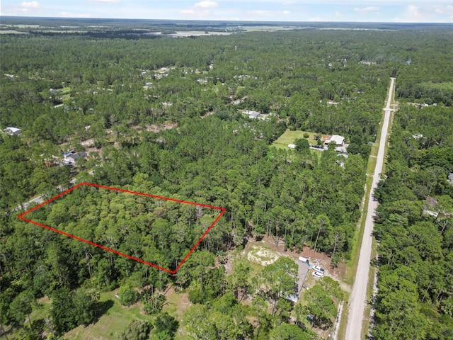 5875 Mahogany Blvd, Bunnell, FL 32110