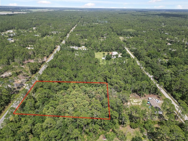 5875 Mahogany Blvd, Bunnell, FL 32110