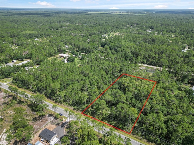 5875 Mahogany Blvd, Bunnell, FL 32110