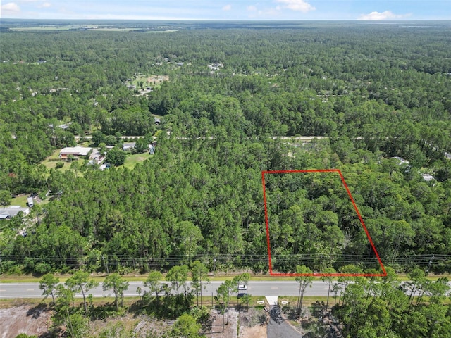 5875 Mahogany Blvd, Bunnell, FL 32110