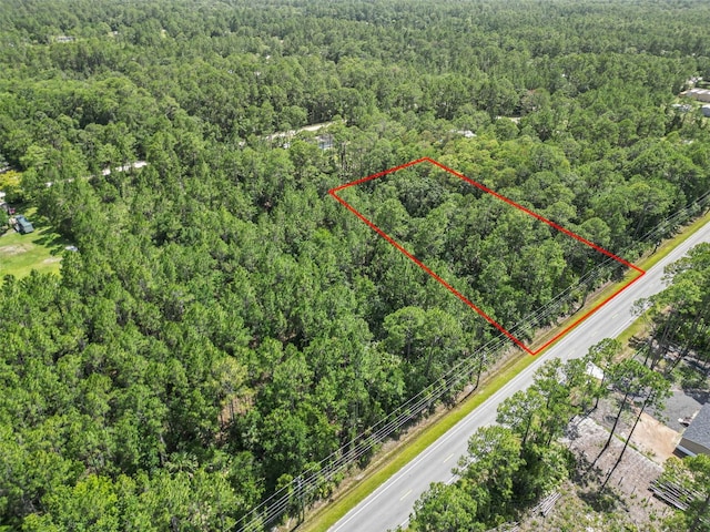 5875 Mahogany Blvd, Bunnell, FL 32110