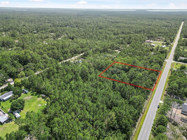 5875 Mahogany Blvd, Bunnell, FL 32110