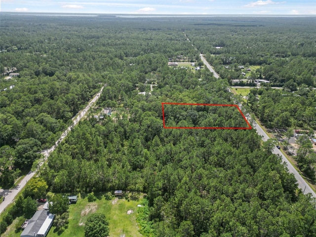 5875 Mahogany Blvd, Bunnell, FL 32110