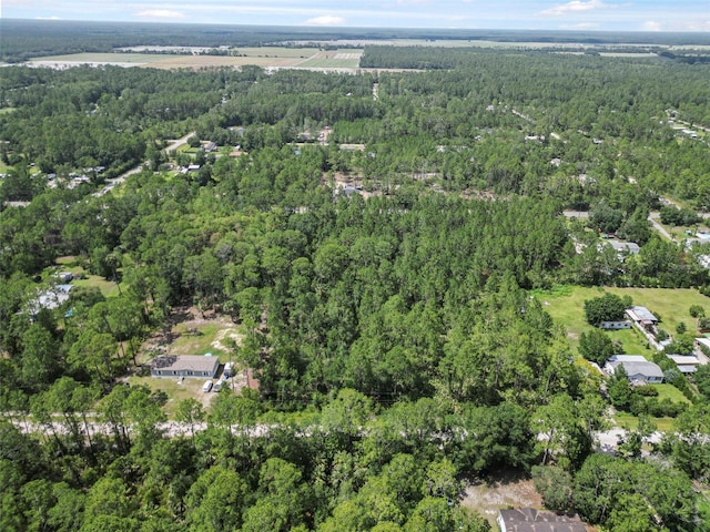 5875 Mahogany Blvd, Bunnell, FL 32110