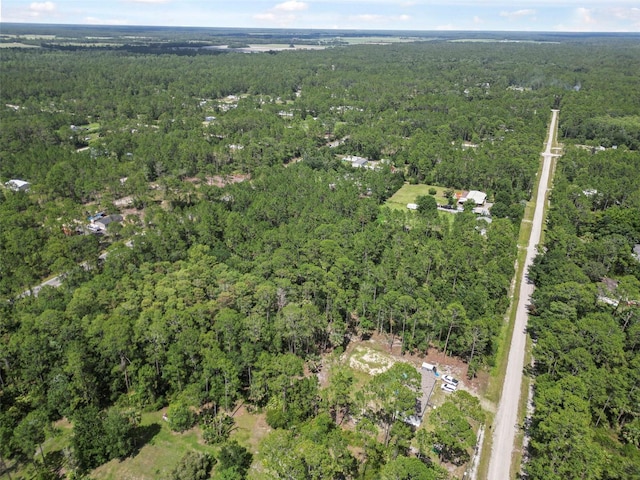 5875 Mahogany Blvd, Bunnell, FL 32110