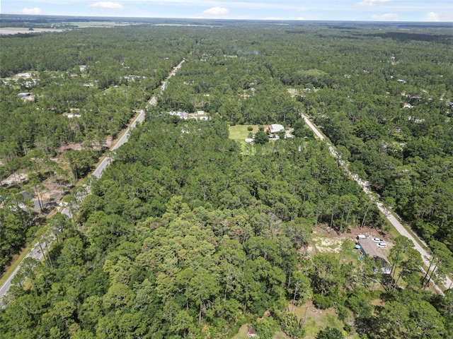 5875 Mahogany Blvd, Bunnell, FL 32110