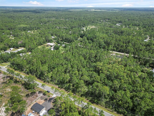 5875 Mahogany Blvd, Bunnell, FL 32110