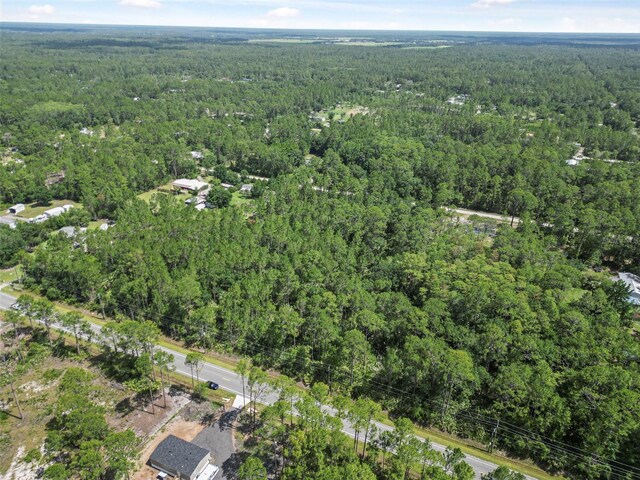 5875 Mahogany Blvd, Bunnell, FL 32110