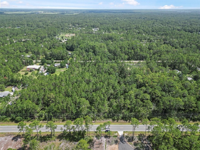 5875 Mahogany Blvd, Bunnell, FL 32110