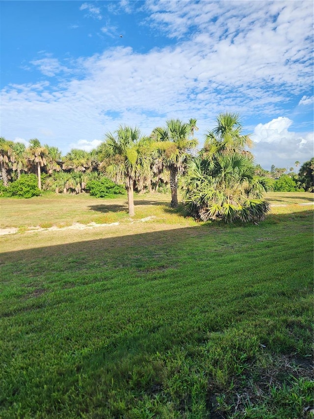3630 S Central Ave, Flagler Beach, FL 32136 - view of community featuring a lawn