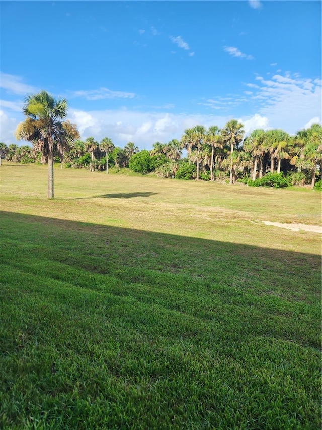 3630 S Central Ave, Flagler Beach, FL 32136 - view of home's community with a lawn and view of wooded area