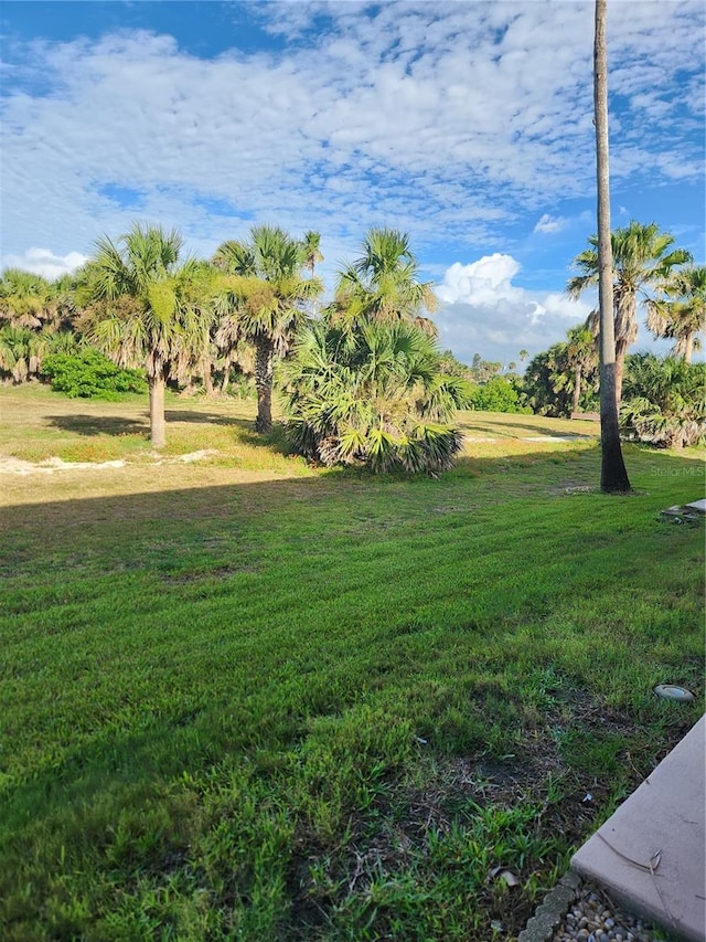 3630 S Central Ave, Flagler Beach, FL 32136 - view of green lawn