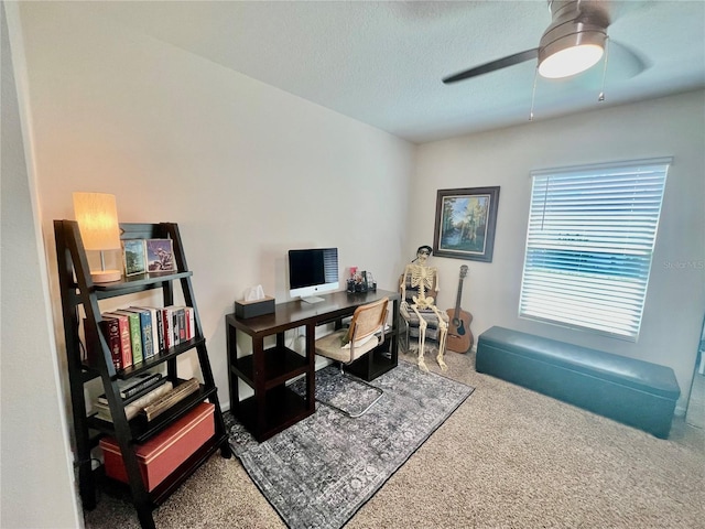 28 Leidel Dr, Palm Coast, FL 32137 - photo 19