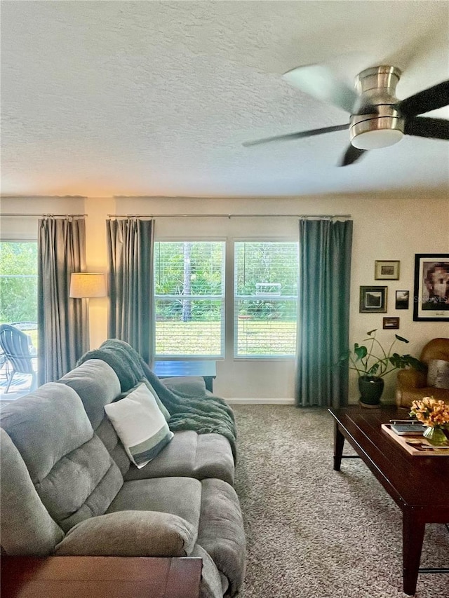 28 Leidel Dr, Palm Coast, FL 32137 - photo 36