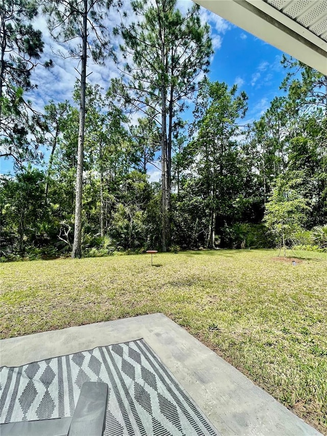 28 Leidel Dr, Palm Coast, FL 32137 - photo 40