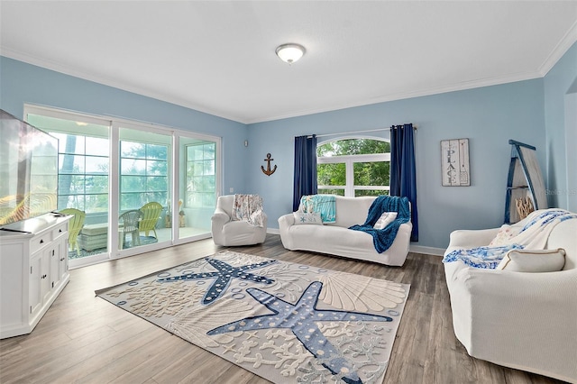 101 N 22nd St, Flagler Beach, FL 32136 - living room featuring crown molding and wood finished floors