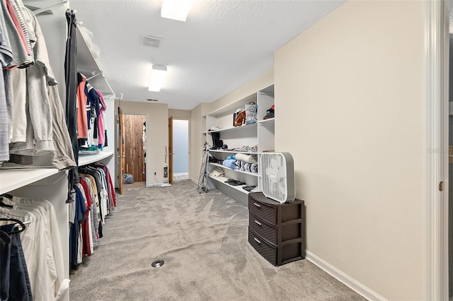 101 N 22nd St, Flagler Beach, FL 32136 - walk in closet featuring light carpet