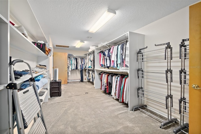 101 N 22nd St, Flagler Beach, FL 32136 - spacious closet with carpet flooring