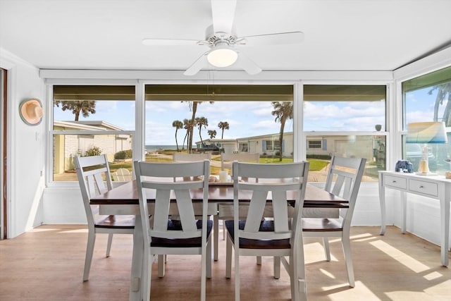 3 Ocean Dr, Ormond Beach, FL 32176 - photo 9
