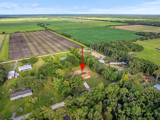417 Garden Ln, Bunnell, FL 32110 - photo 28