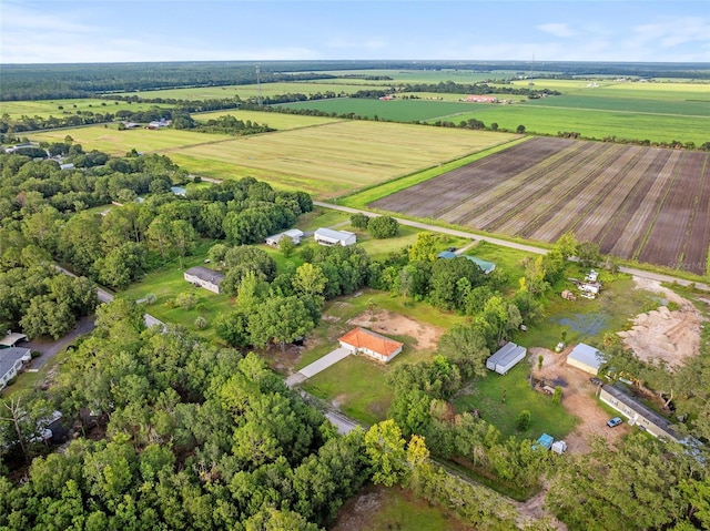 417 Garden Ln, Bunnell, FL 32110 - photo 29