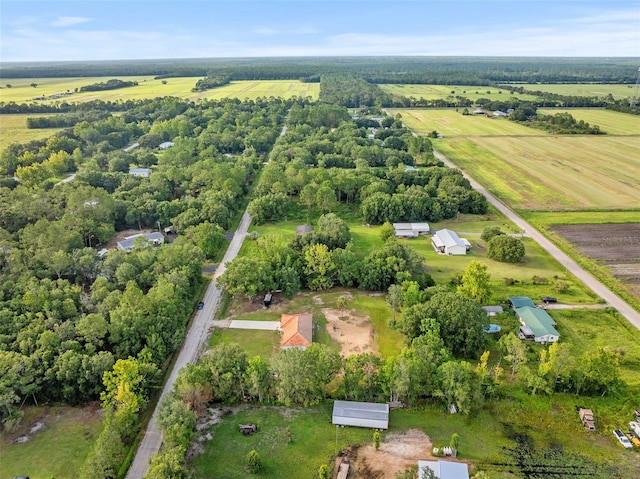 417 Garden Ln, Bunnell, FL 32110 - photo 31