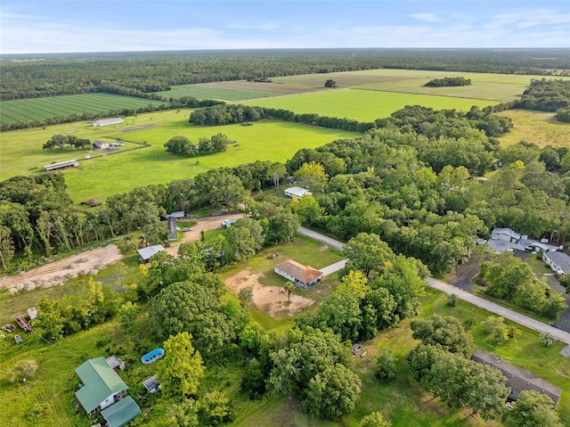 417 Garden Ln, Bunnell, FL 32110 - photo 34