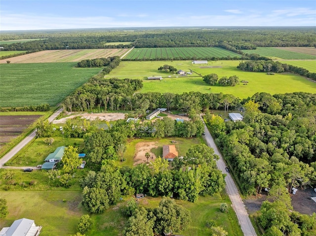417 Garden Ln, Bunnell, FL 32110 - photo 35