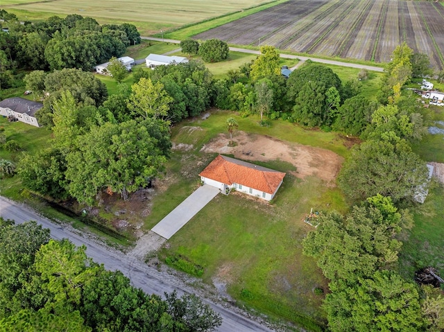 417 Garden Ln, Bunnell, FL 32110 - photo 37