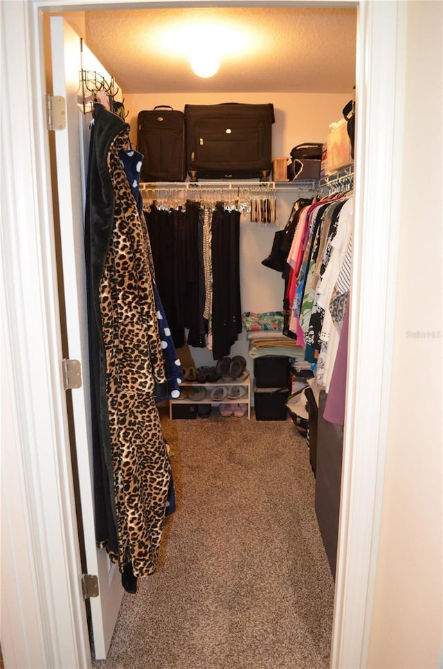 35 Putter Dr, Palm Coast, FL 32164 - walk in closet featuring carpet floors
