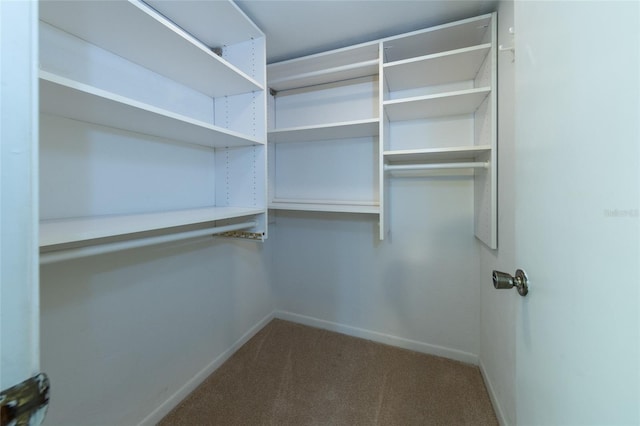 11 Surrey Ct Unit 11, Palm Coast, FL 32137 - walk in closet with carpet flooring