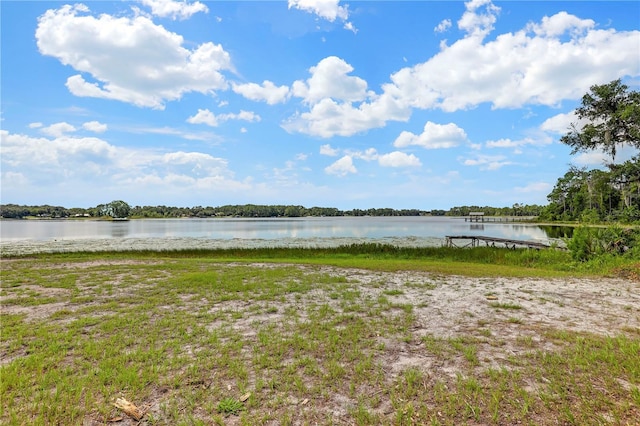 113 Bent Oak Dr, Pomona Park, FL 32181 - photo 28