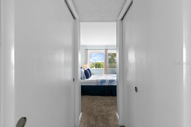 6300 A1A S Unit A13U, Saint Augustine, FL 32080 - photo 42