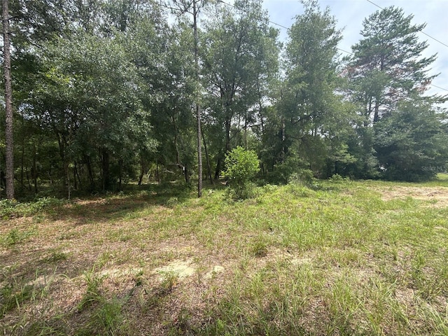 140 Cherokee Dr, Interlachen, FL 32148