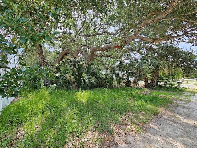 2721 S John Bull St, Flagler Beach, FL 32136 - photo 15