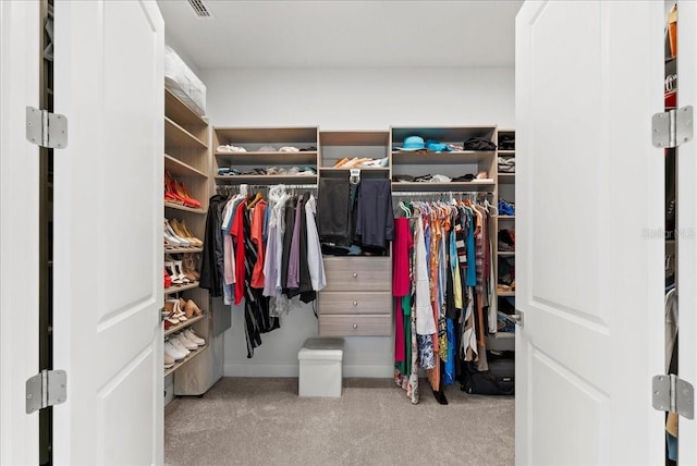 23 Ocean Ridge Blvd N, Palm Coast, FL 32137 - walk in closet with carpet floors
