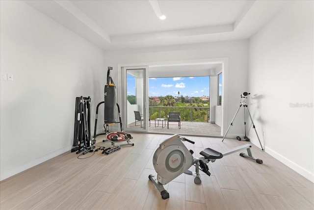 23 Ocean Ridge Blvd N, Palm Coast, FL 32137 - exercise area with a raised ceiling and light wood-style flooring