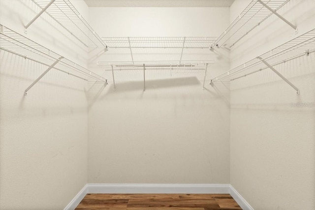 1707 Southern Belle Ln, Port Orange, FL 32128 - walk in closet featuring wood finished floors