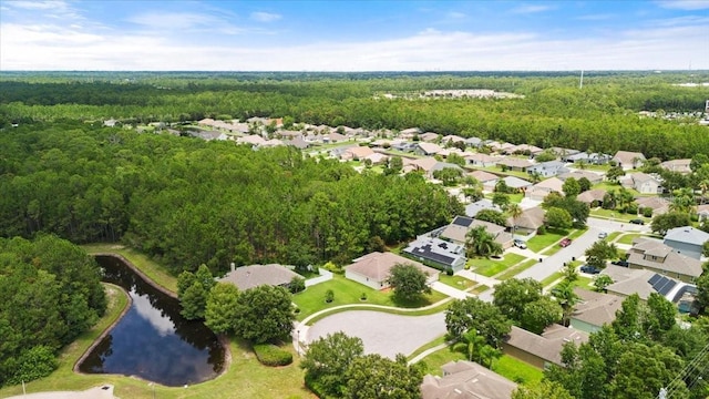 1707 Southern Belle Ln, Port Orange, FL 32128 - aerial overview of property's location featuring nearby suburban area and a large body of water