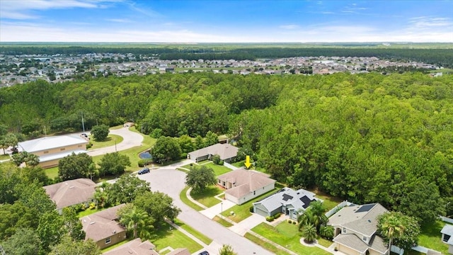 1707 Southern Belle Ln, Port Orange, FL 32128 - aerial view of property's location with nearby suburban area and a forest