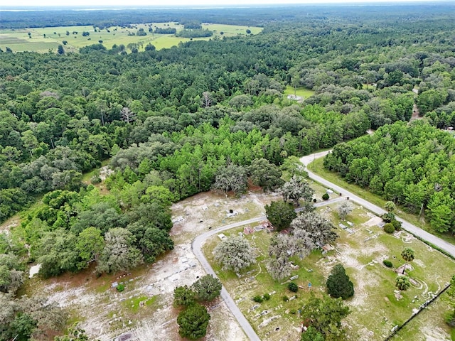 202 Bostwick Cemetery Rd Unit 1, Palatka, FL 32177
